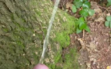 Cheating wife into the woods, he have my load inside him
