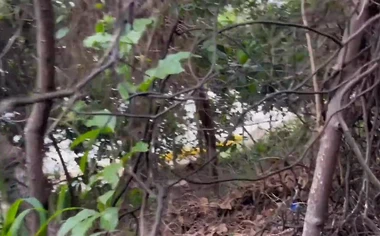I was in F1 and I met Ronny Aislan on the trail and ate him - Watch in full