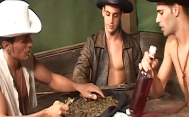 Dude Ranch Studs